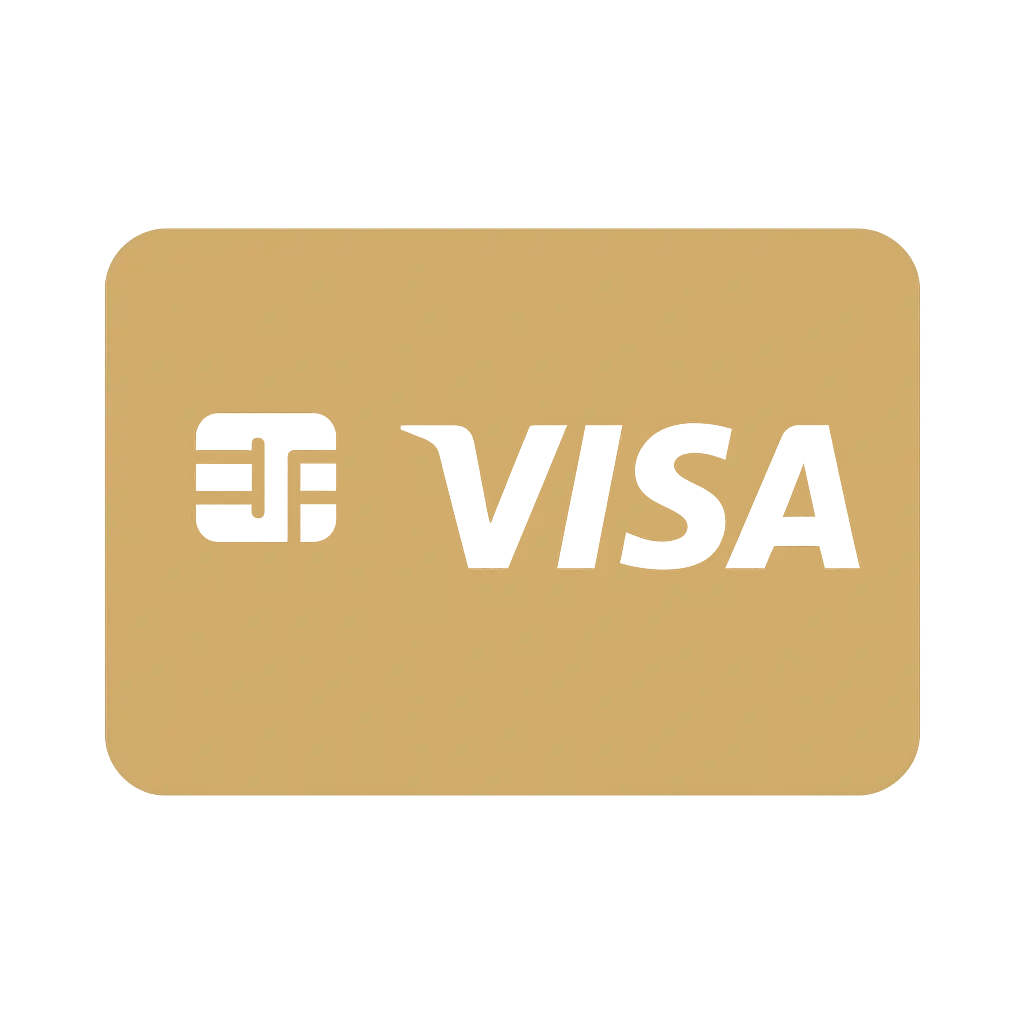 Visa icon